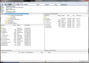 FileZilla.jpg (22222 Byte)