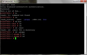 PUTTY screen new.jpg (14198 Byte)