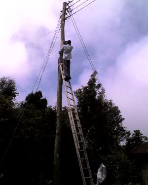 06-05-11_1100a.jpg (15644 bytes)