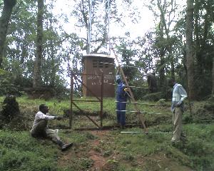 06-05-11_1242a.jpg (24279 bytes)