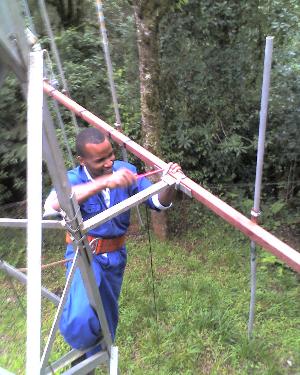 06-05-11_1444a.jpg (31966 bytes)