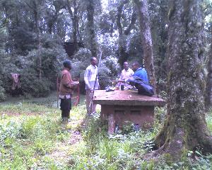 06-05-11_1545a.jpg (25410 bytes)